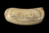 SCRIMSHAW WHALE S TOOTH Engraved 302263
