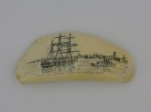 SCRIMSHAW WHALE S TOOTH 20TH CENTURY  303610