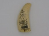 SCRIMSHAW TOOTH. 20TH CENTURY. A POLISHED