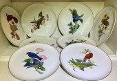 Eight china plates with different bird