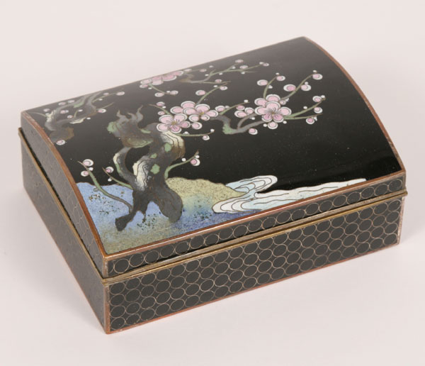 Japanese cloisonne box with silver 4dfc5