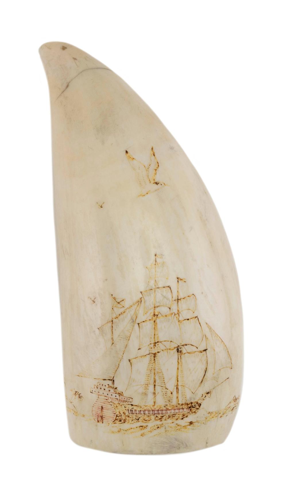 ESKIMO ENGRAVED WHALE S TOOTH 30b6ca