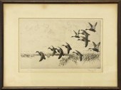 Richard Bishop signed etching of ducks,