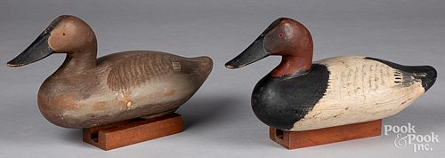 PAIR OF CHESAPEAKE BAY CANVASBACK 311d89