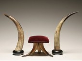 Pair mounted steer horns and horn 4f64f