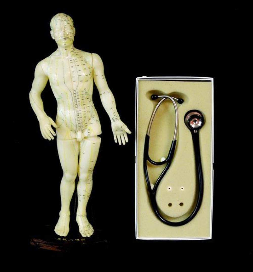 ACUPUNCTURE MODEL AND STETHOSCOPE  31dc0b