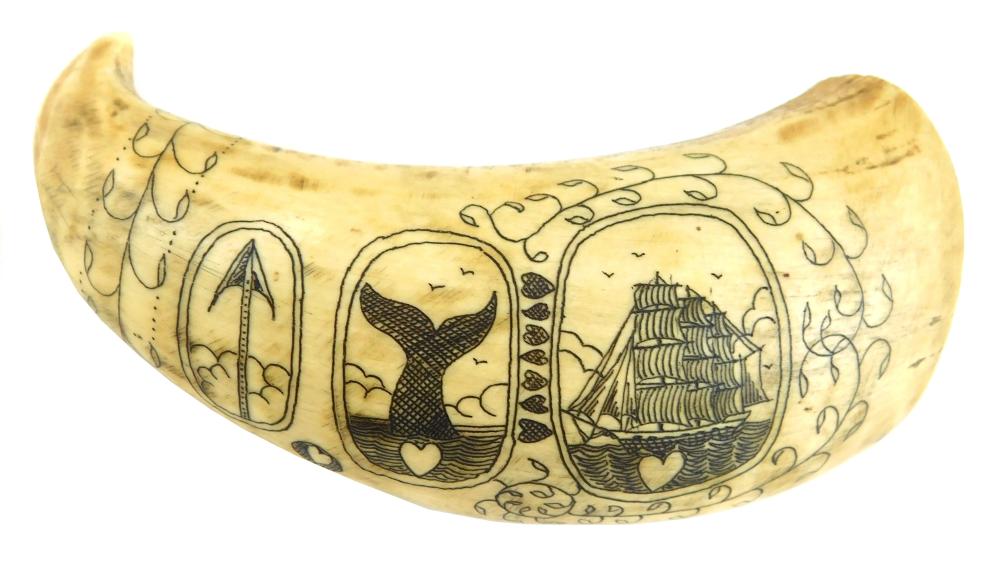 SCRIMSHAW WHALE TOOTH 19TH C  31dc52