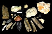 FOSSILS AND OTHER GEOLOGICAL FORMATIONS,