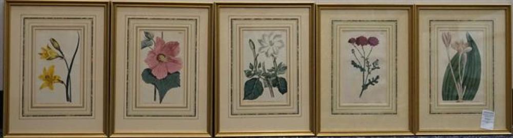 TEN 19TH CENTURY BOTANICAL HAND COLORED 3232d7