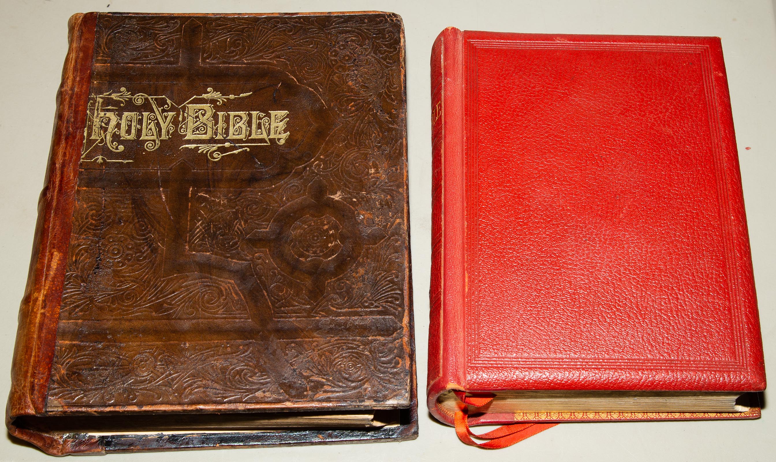 TWO FAMILY BIBLES PRONOUCING EDITION 338978