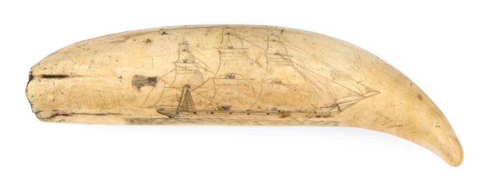 SCRIMSHAW WHALE S TOOTH ATTRIBUTED 34c671