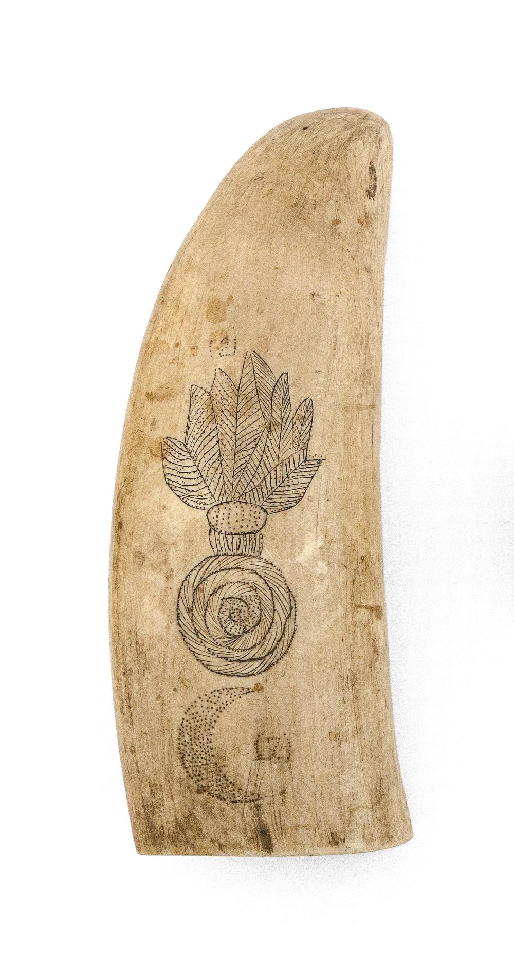 SCRIMSHAW WHALE S TOOTH WITH GEOMETRIC 34c6bc