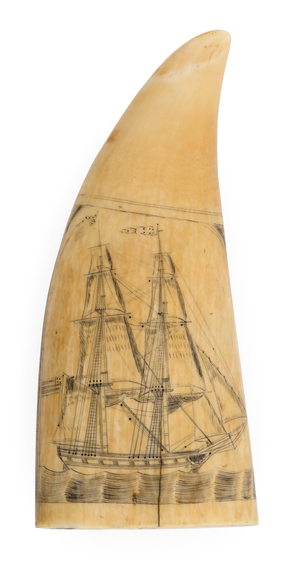 SCRIMSHAW WHALE S TOOTH WITH 34f00d