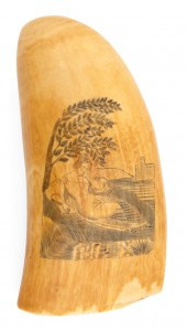 SCRIMSHAW WHALE S TOOTH WITH RICH 34f01c