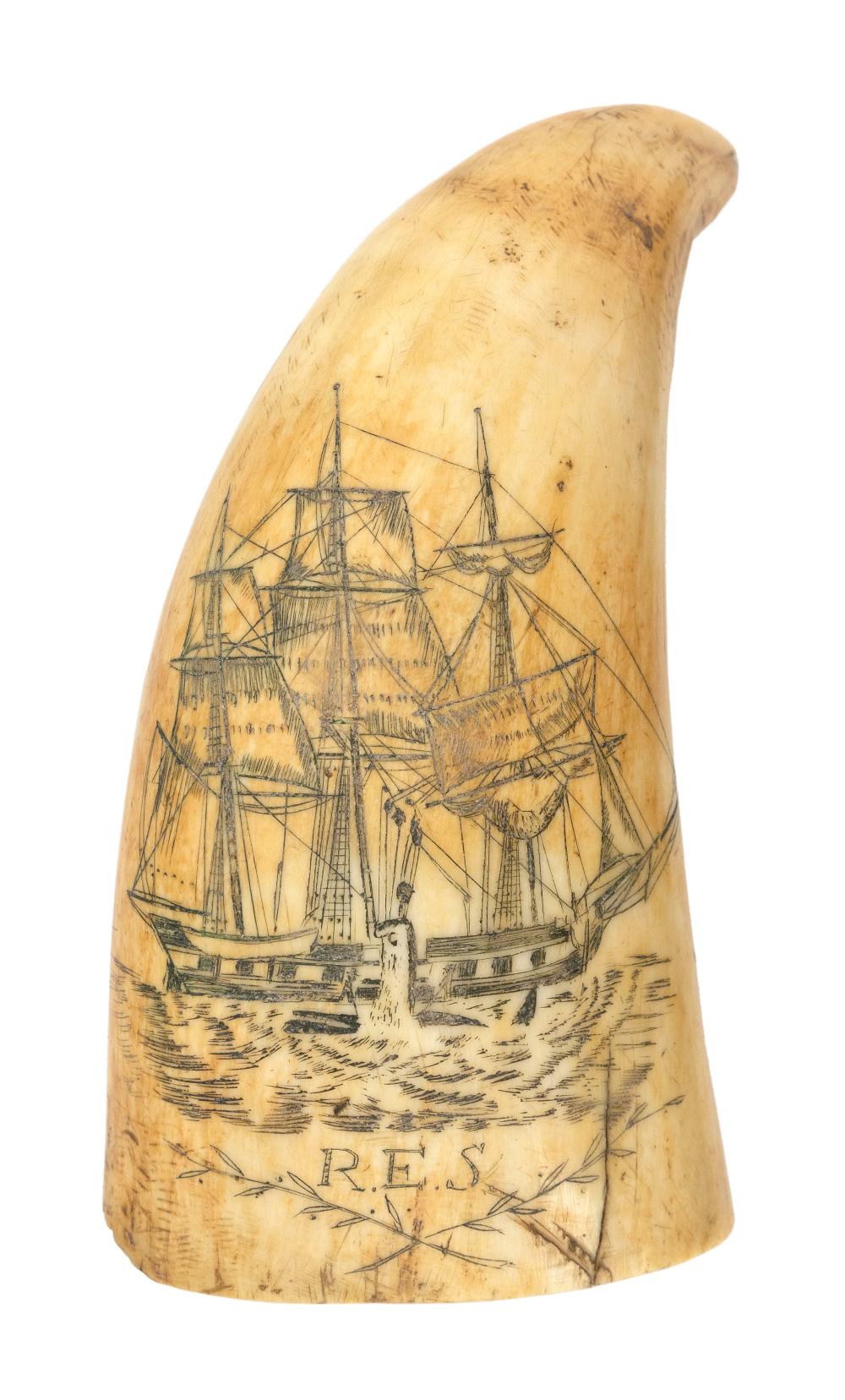 SCRIMSHAW WHALE S TOOTH WITH ACTIVE 34f02a