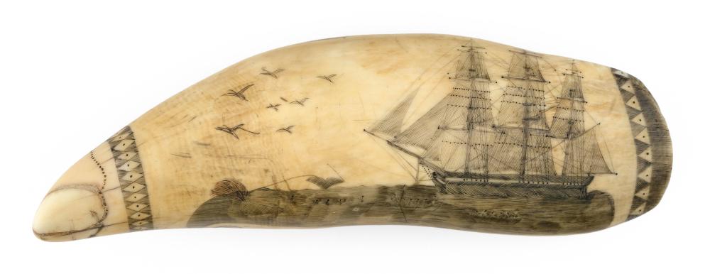 POLYCHROME SCRIMSHAW WHALE S TOOTH 34d7d2