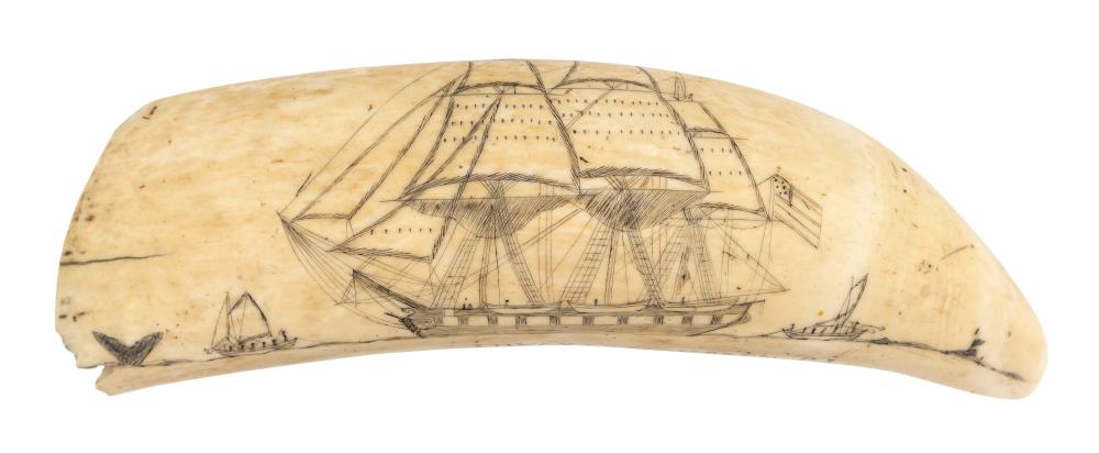 SCRIMSHAW WHALE S TOOTH INVOY 34d81a