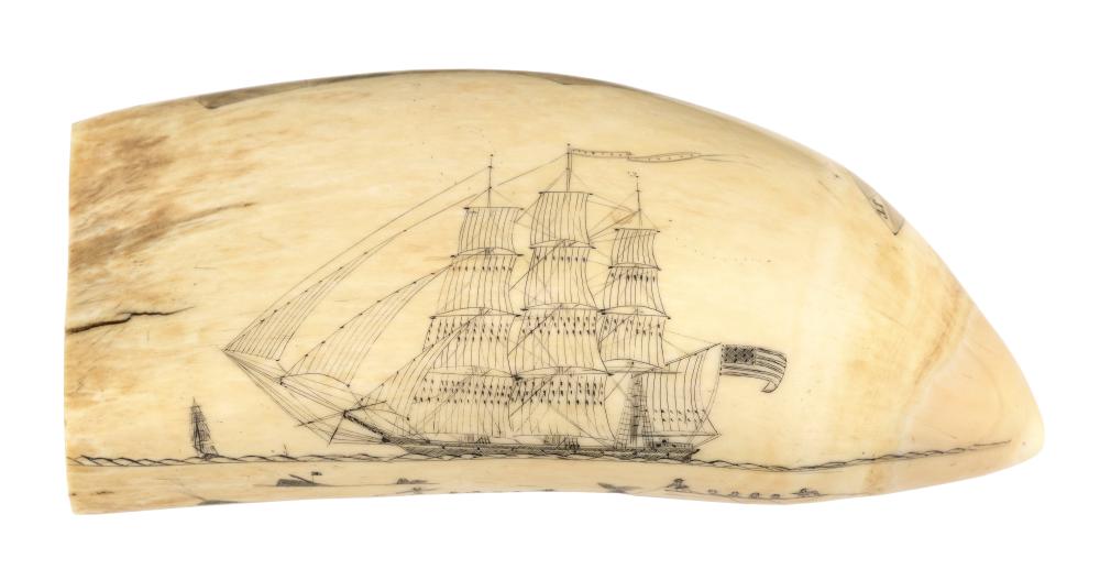 SIGNED AND DATED SCRIMSHAW WHALE S 34d816