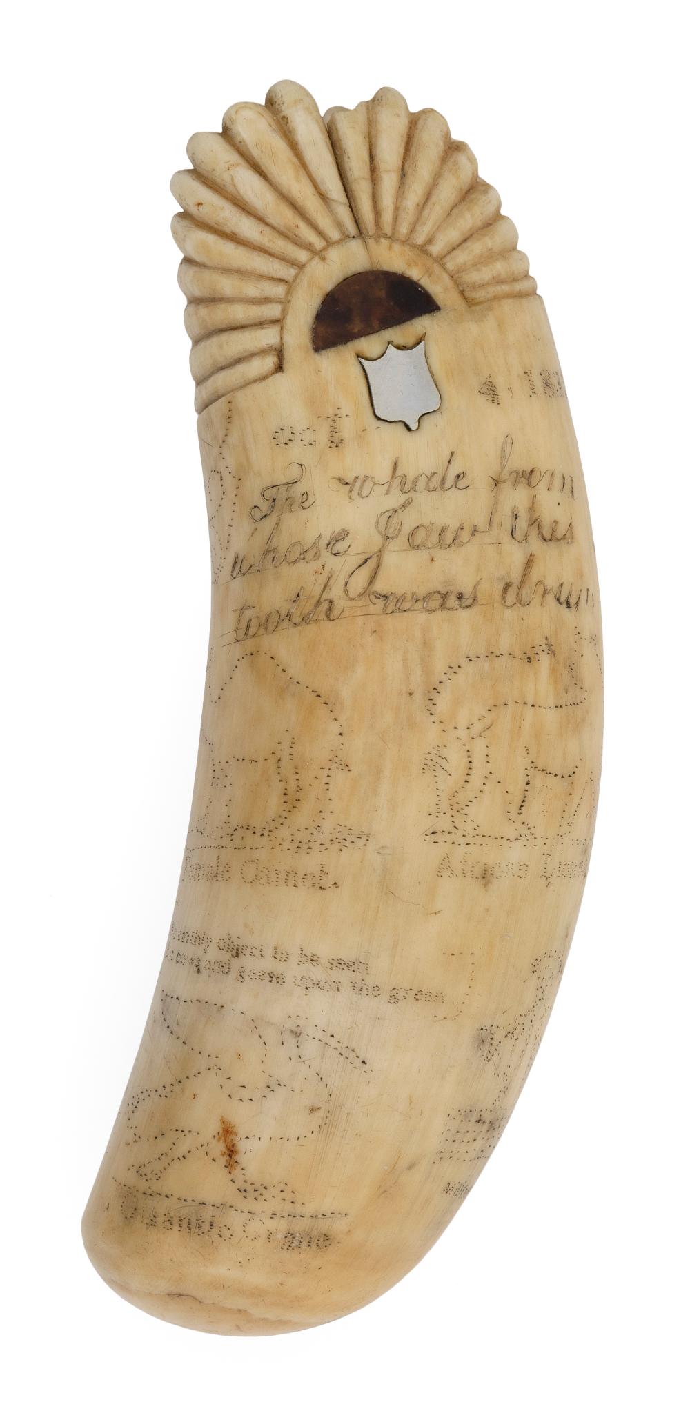 INLAID SCRIMSHAW WHALE S TOOTH 35011b