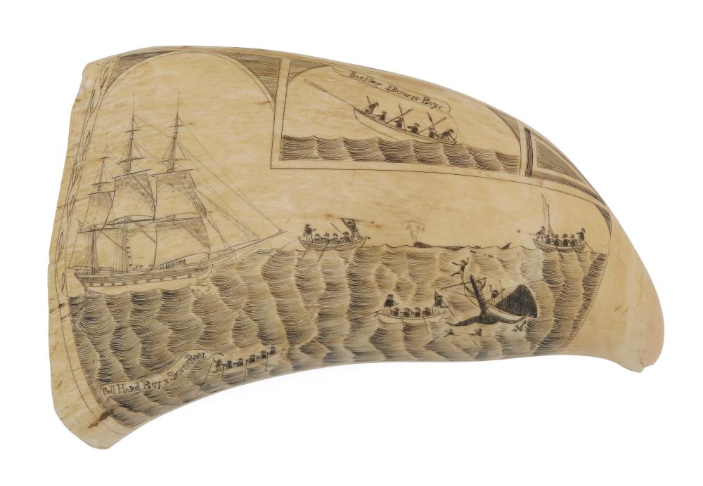 EXCEPTIONAL SCRIMSHAW WHALE S TOOTH 35015e