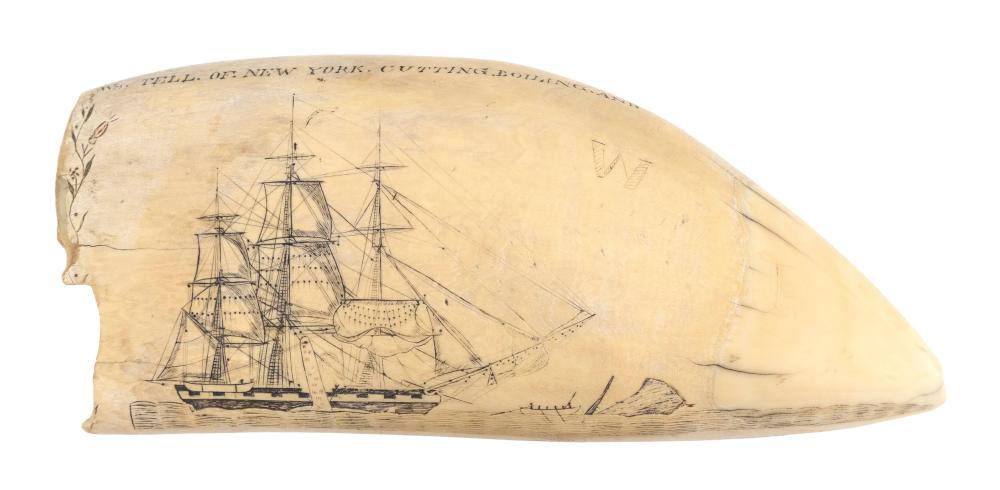 POLYCHROME SCRIMSHAW WHALE S TOOTH 3501a6
