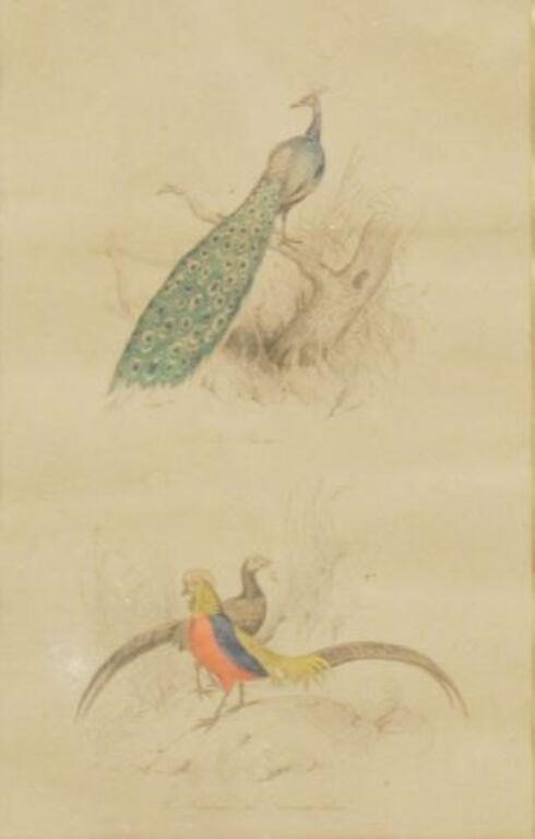  3 FRENCH ORNITHOLOGICAL HAND COLORED 356bc2