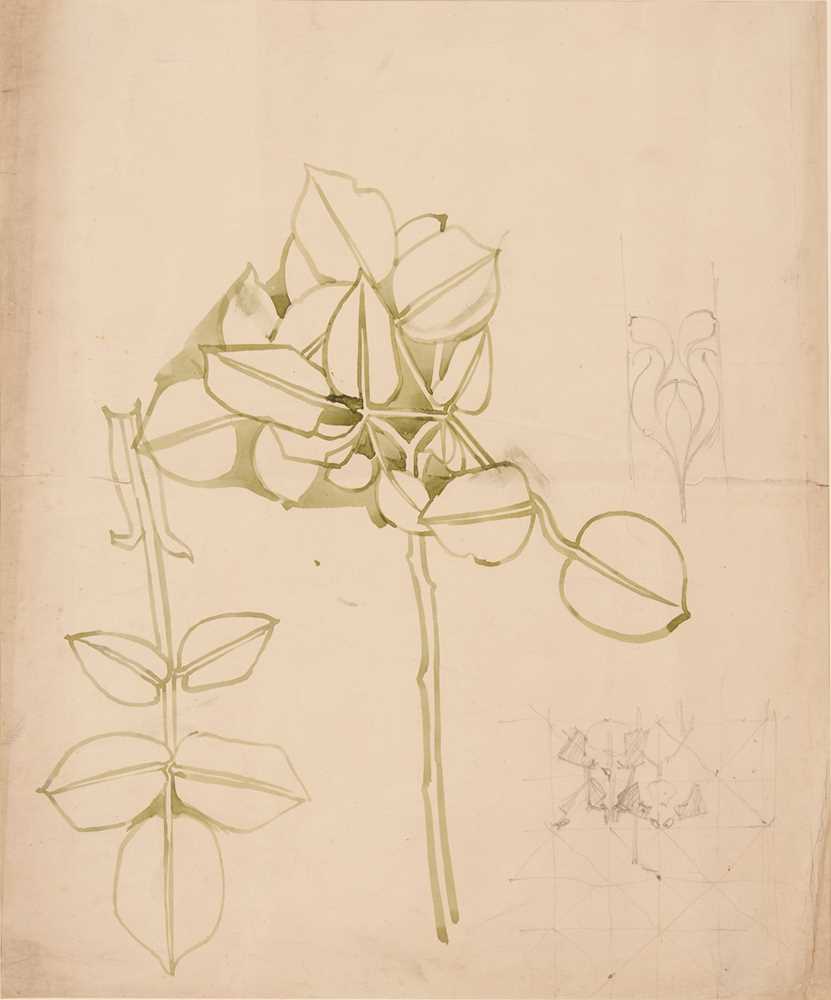 CHARLES RENNIE MACKINTOSH 1868 1928 PLANT 36dcdb