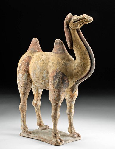 CHINESE TANG DYNASTY CAMEL TOMB 370b31