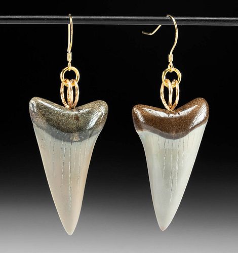 WEARABLE FOSSILIZED SHARK TOOTH 371184