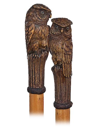 26 OWL CANE CA 1900 VERY LARGE 373bf2