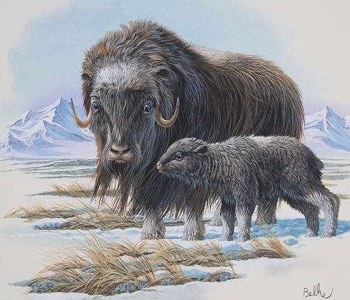 DON BALKE B 1933 MUSK OX WITH 371ab3