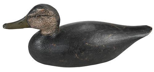 ANTHONY ELMER CROWELL BLACK DUCK 37600a