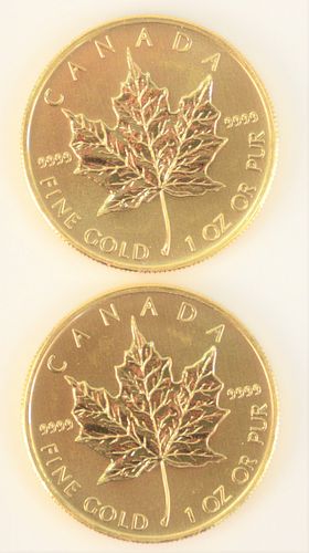 TWO CANADIAN MAPLE LEAFS 2009  37a0b6