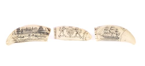 3 REPRODUCTION SCRIMSHAW WHALES TOOTH