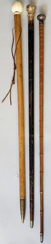 COLLECTION OF THREE 19TH CENTURY WALKING