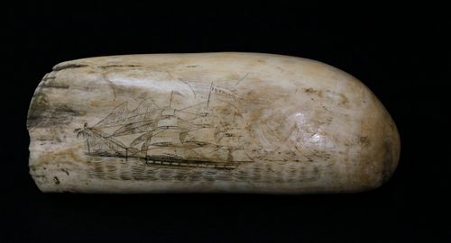 ANTIQUE SCRIMSHAW WHALE TOOTH  37ded7