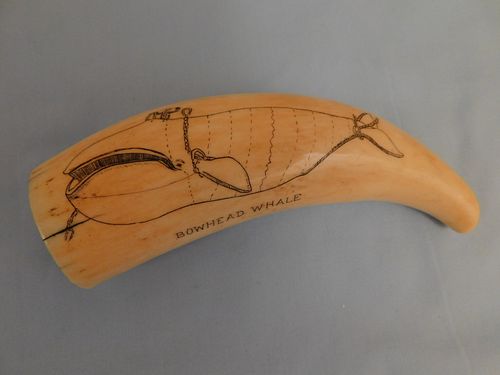 SCRIMSHAW WHALES TOOTHWhales tooth with