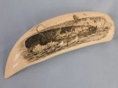 DUTRA SCRIMSHAW WHALE TOOTHLarge whale