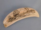 WHALE TOOTH SIGNED PERKINSSmall scrimshaw