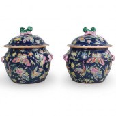 PAIR OF CHINESE BLUE FAMILLE ROSE 3918ba