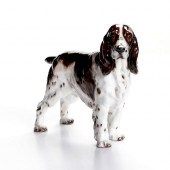 ROYAL DOULTON DOG FIGURE, SPRINGER SPANIEL