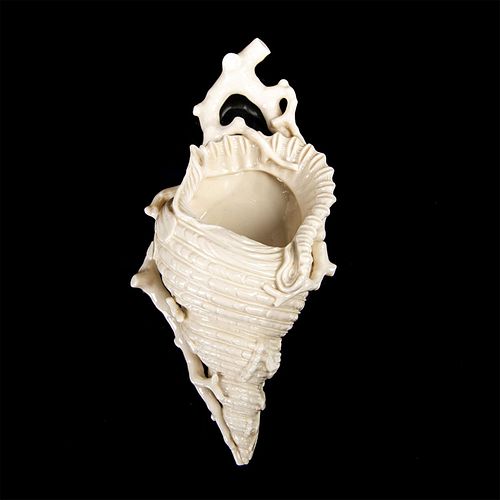 ROYAL WORCESTER SHELL CERAMIC WALL 39887d