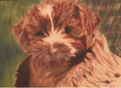 Oil on canvas portrait of a dog, signed