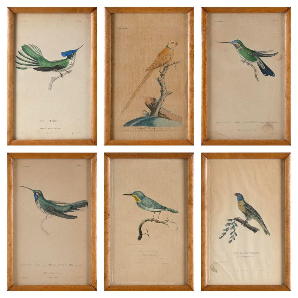 SIX ENGLISH AND FRENCH BIRD PRINTS 3af696