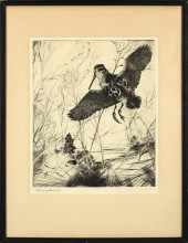 FRANK W BENSON ETCHING, WOODCOCK IN