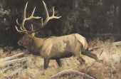 KEN CARLSON (B. 1937)Bull Elk
signed