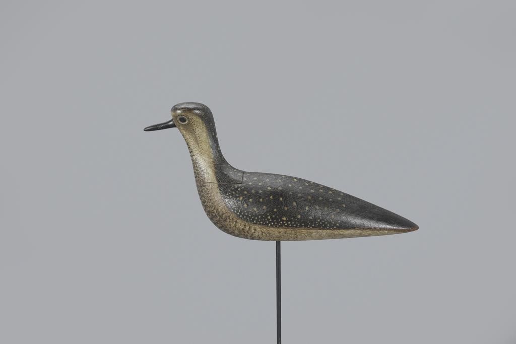 GOLDEN PLOVER WITH HIGH DOVETAILED 3aef0c