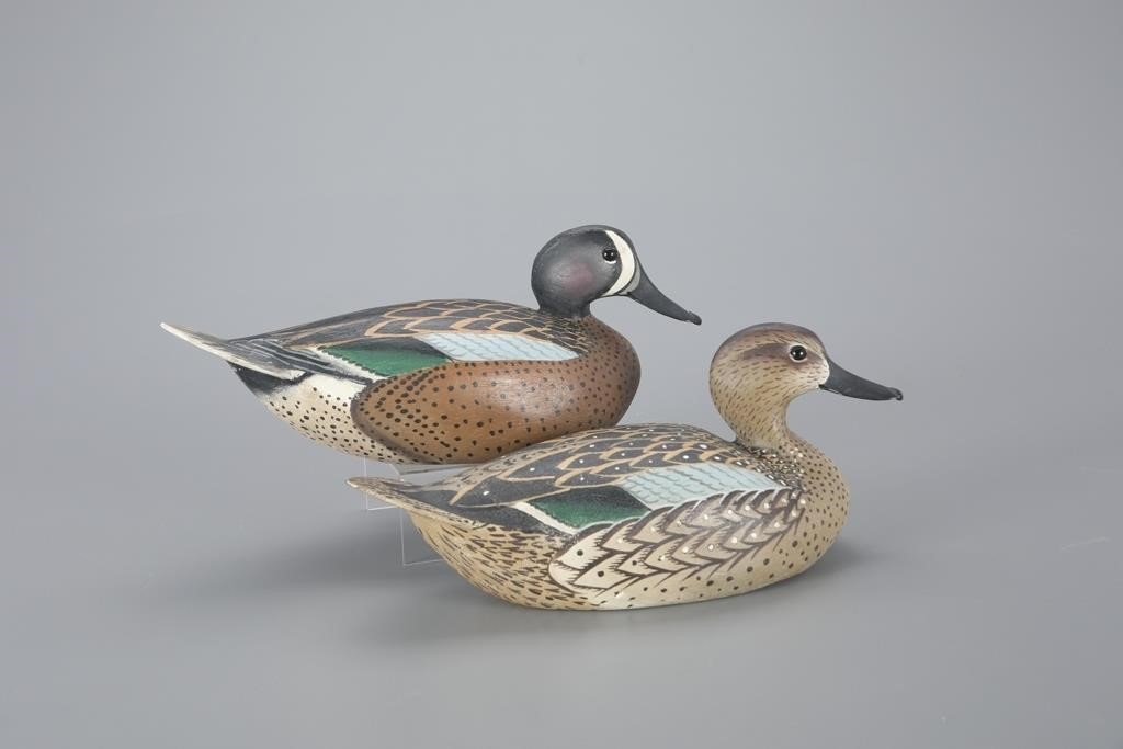 RARE BLUE WINGED TEAL PAIRThe Ward 3aef29