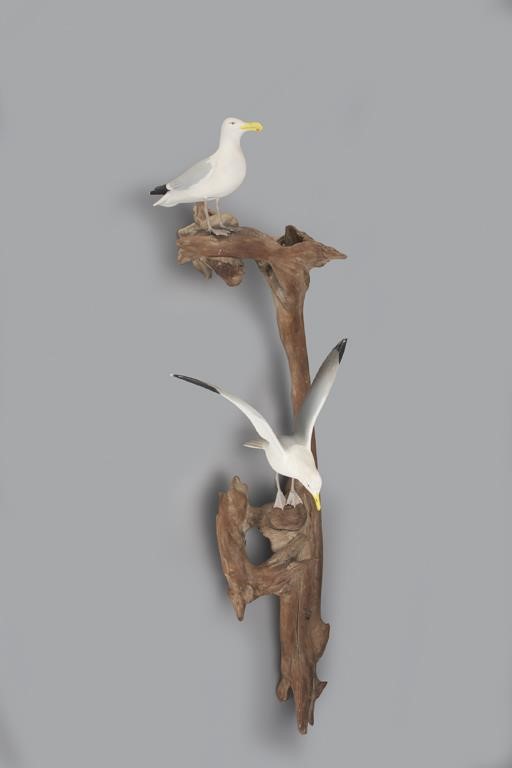ONE THIRD SIZE GULL PAIR ON DRIFTWOODWendell 3aefed