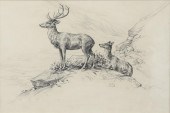 AIDEN LASSELL RIPLEY (1896-1969)Stag
